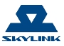 Provider Skylink