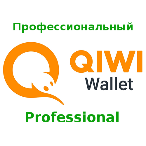 Full user identification of the payment system «QIWI-Wallet». Acquisition of the user status «Professional»